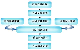 申美饮料 全面服务支持与市场营销策划策略